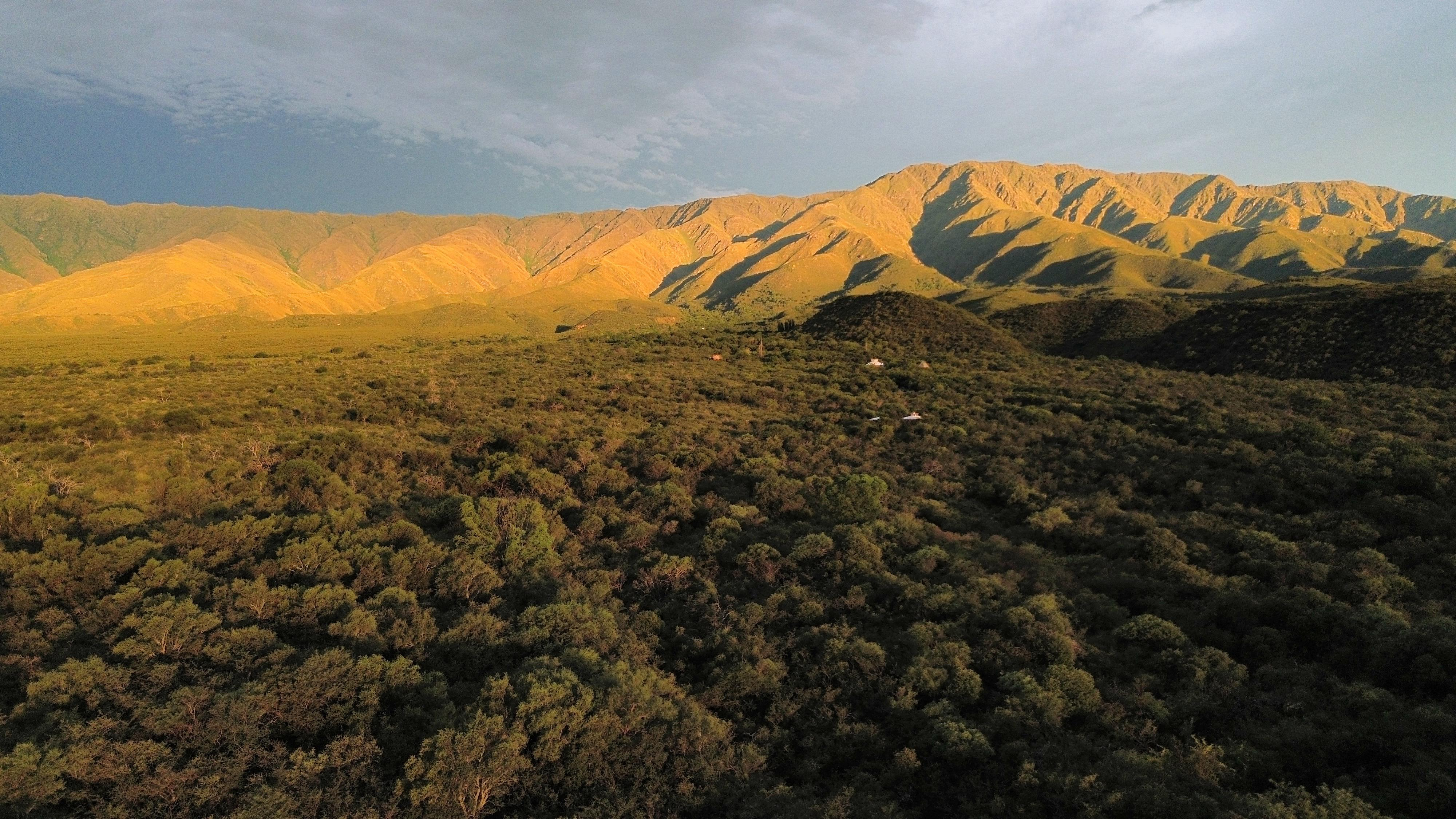 Paisaje forestal y agrícola