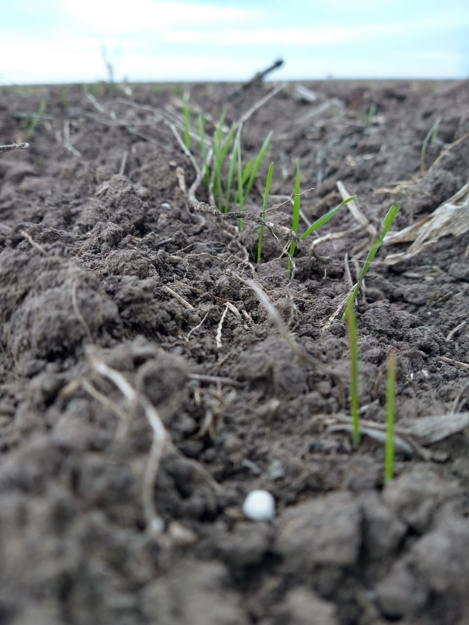 Análisis de propiedades del suelo y agua